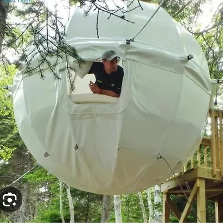 Terrebiosatellite * Visnadello