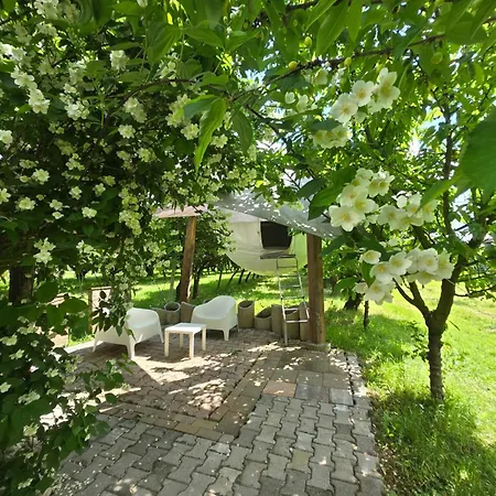 Terrebiosatellite Visnadello